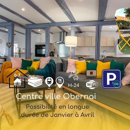 Le Nid Cosy D'Obernai /2Min Centre Ville/Parking Eksteriør billede