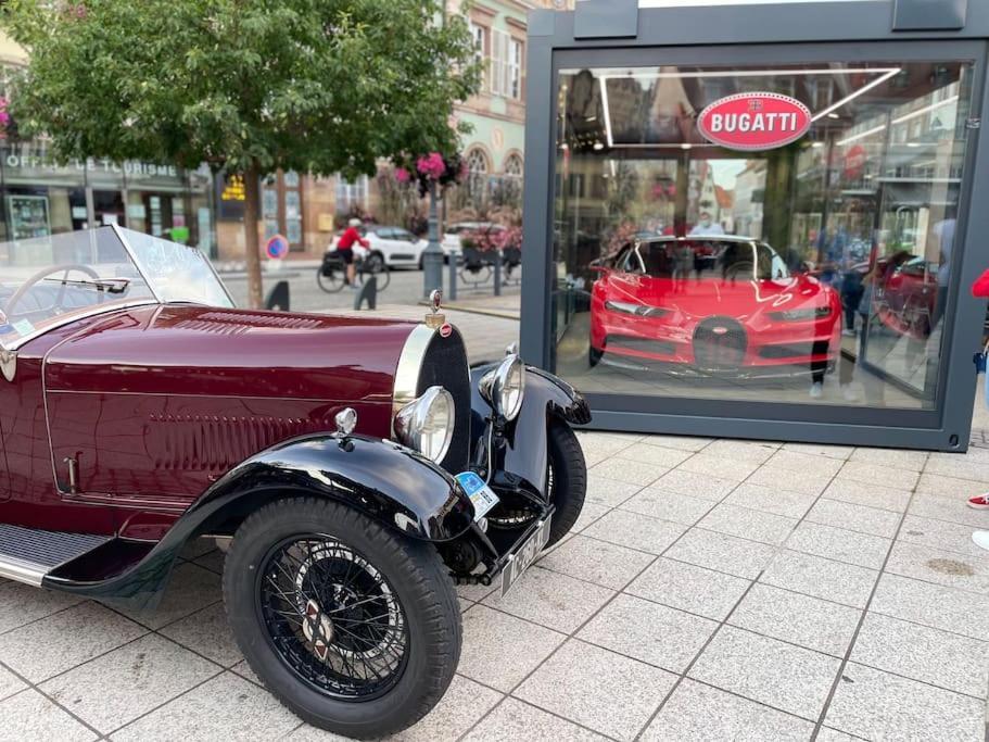 Le Nid Cosy D'Obernai /2Min Centre Ville/Parking Eksteriør billede
