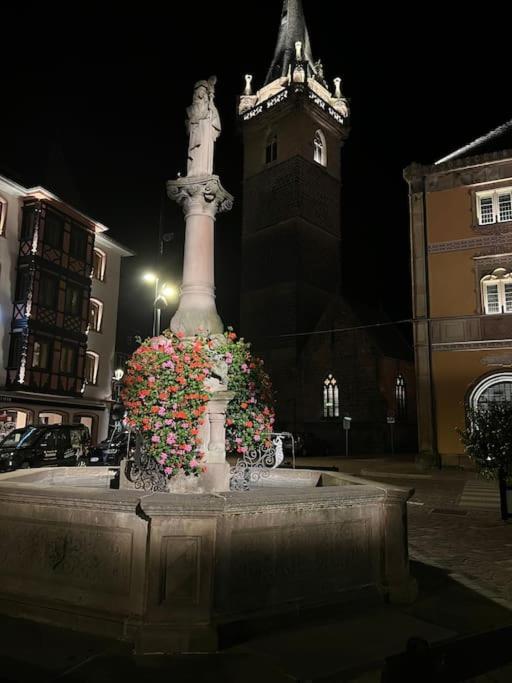 Le Nid Cosy D'Obernai /2Min Centre Ville/Parking Eksteriør billede