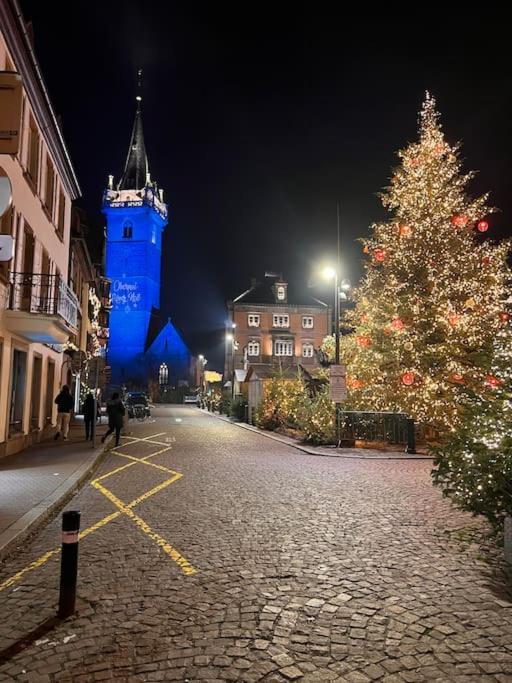 Le Nid Cosy D'Obernai /2Min Centre Ville/Parking Eksteriør billede