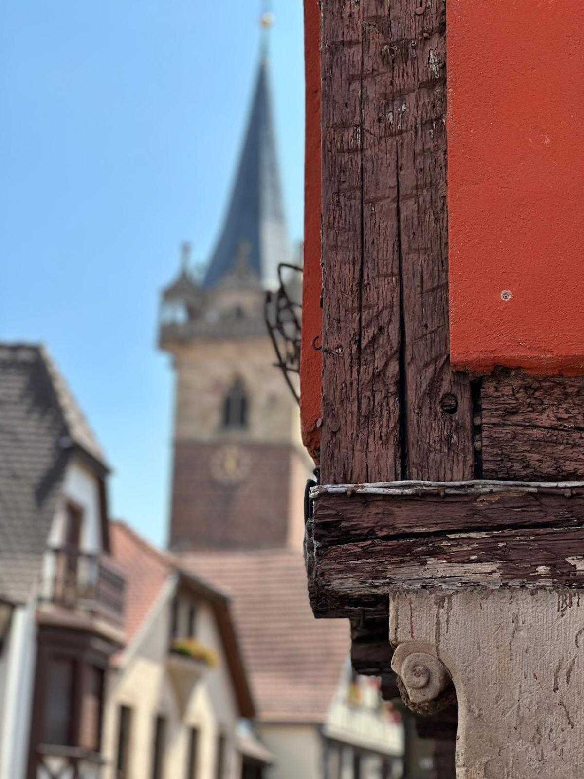 Le Nid Cosy D'Obernai /2Min Centre Ville/Parking Eksteriør billede