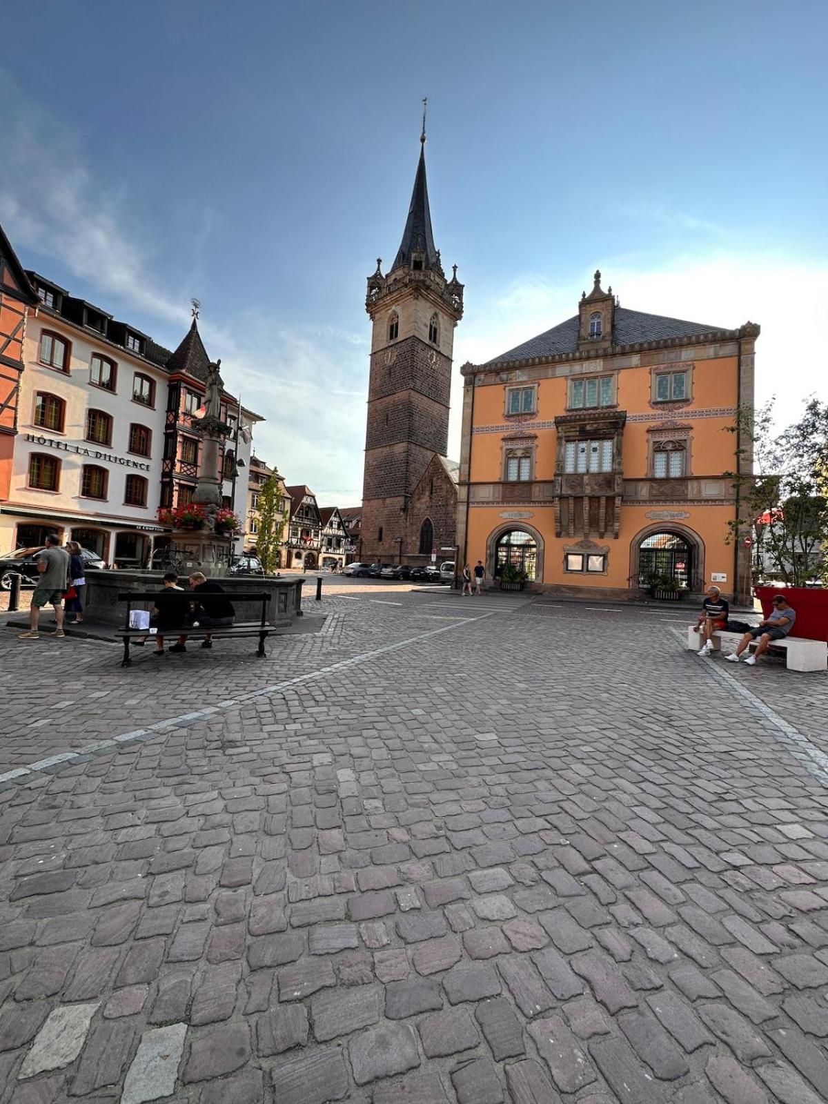 Le Nid Cosy D'Obernai /2Min Centre Ville/Parking Eksteriør billede