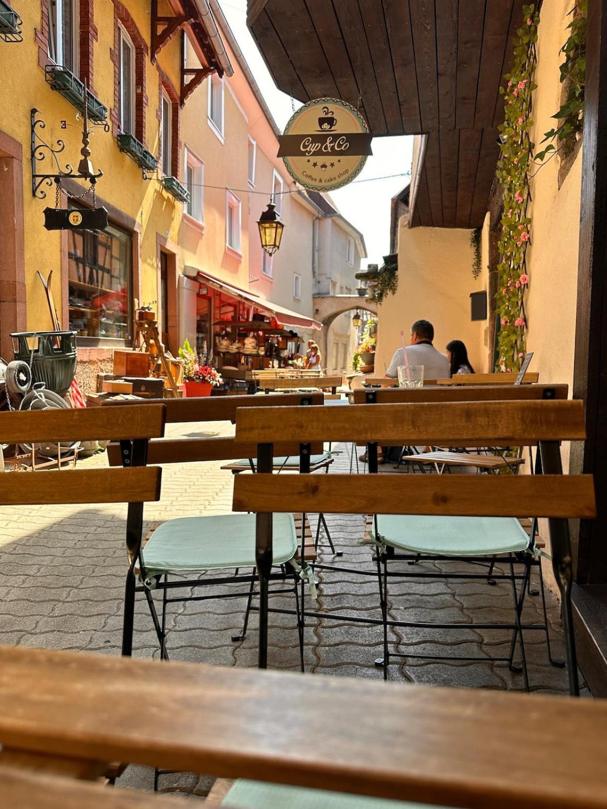 Le Nid Cosy D'Obernai /2Min Centre Ville/Parking Eksteriør billede