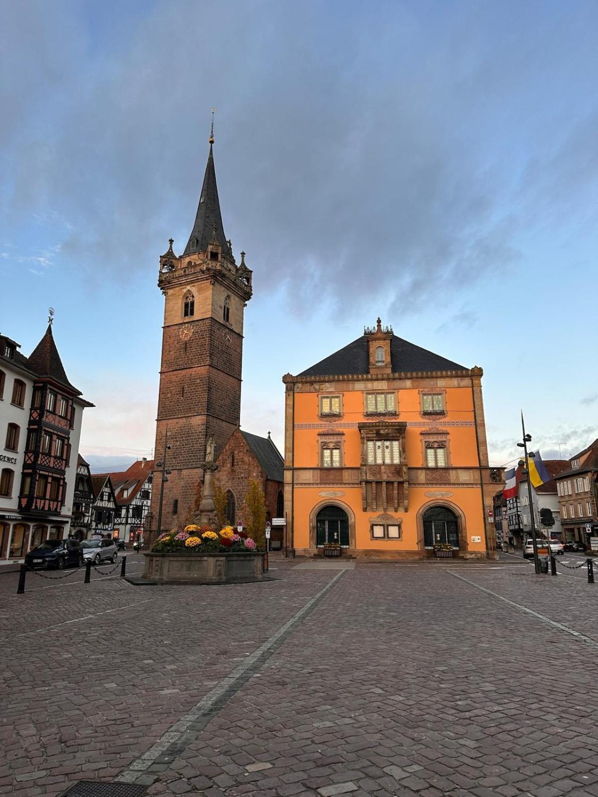 Le Nid Cosy D'Obernai /2Min Centre Ville/Parking Eksteriør billede