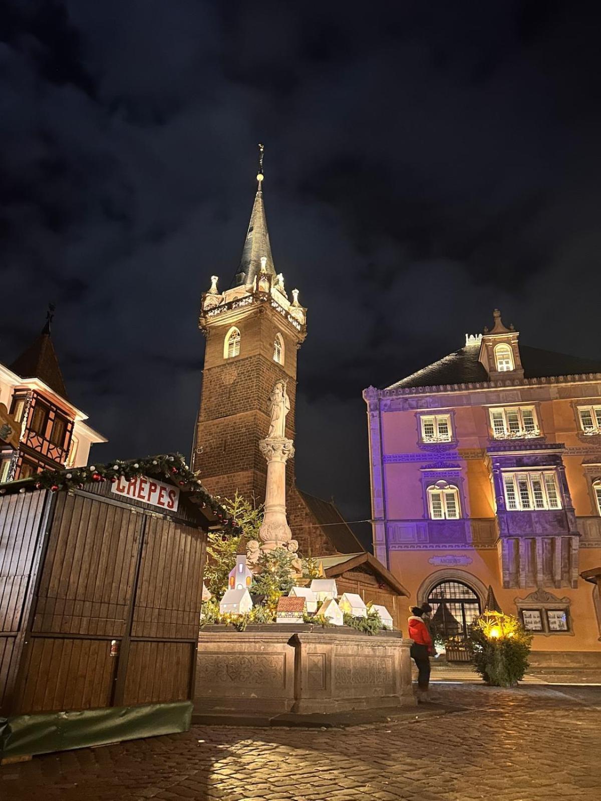Le Nid Cosy D'Obernai /2Min Centre Ville/Parking Eksteriør billede